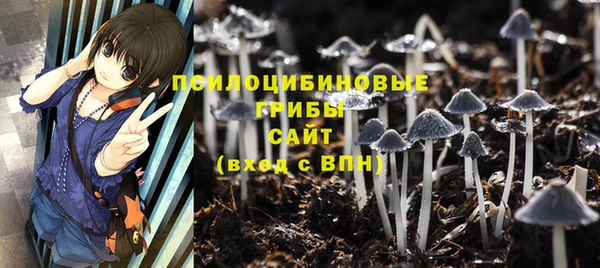 дурь Алексин