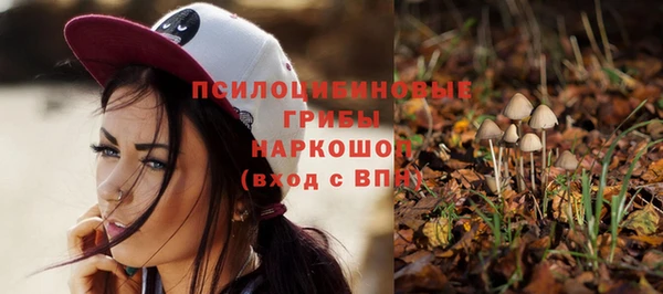 марки lsd Алексеевка
