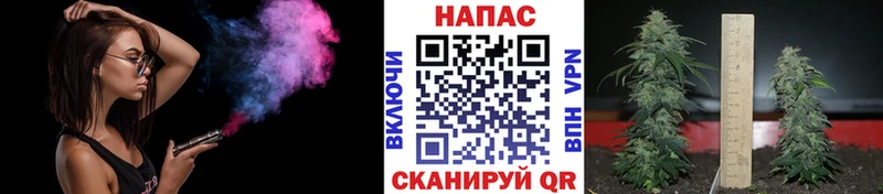 МАРИХУАНА конопля  ссылка на мегу tor  Бакал 